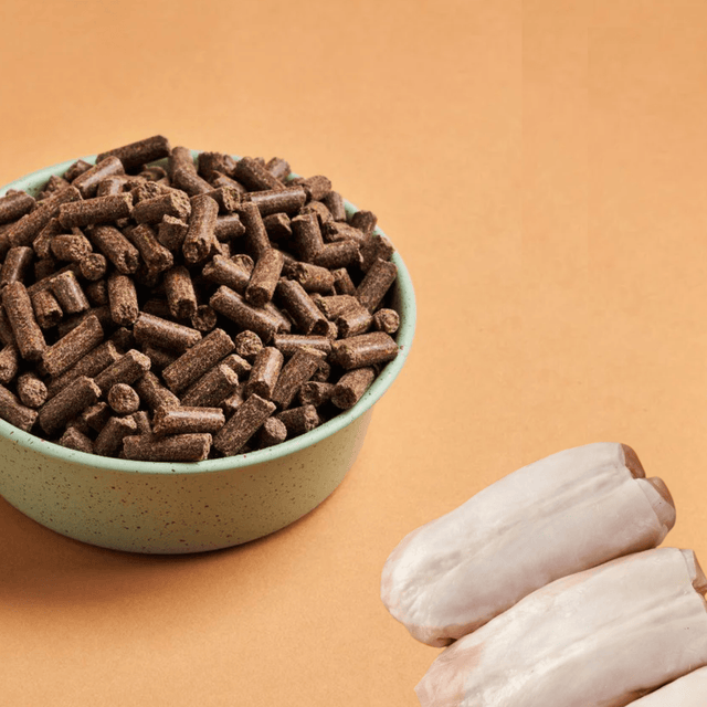 Bowl of DARF Rabbit cold pressed dog food and some raw rabbit breast on an orange background