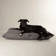 Black dog lying on a grey Scruffs Expedition Orthopaedic Pillow for Dogs  against a plain background