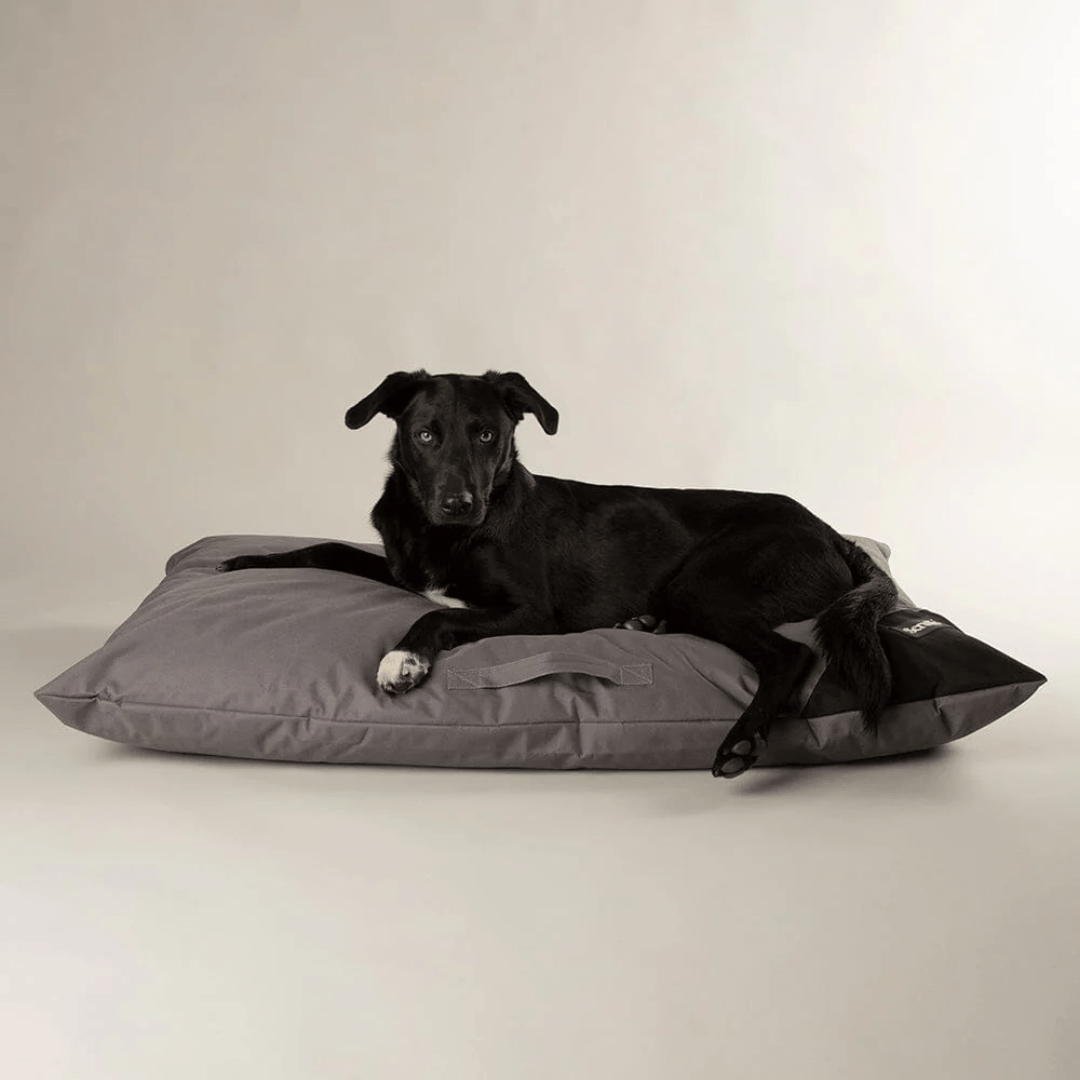 Black dog lying on a grey Scruffs Expedition Orthopaedic Pillow for Dogs  against a plain background