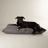 Black dog lying on a grey Scruffs Expedition Orthopaedic Pillow for Dogs  against a plain background