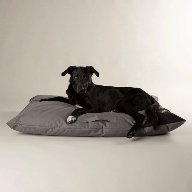 Black dog lying on a grey Scruffs Expedition Orthopaedic Pillow for Dogs  against a plain background