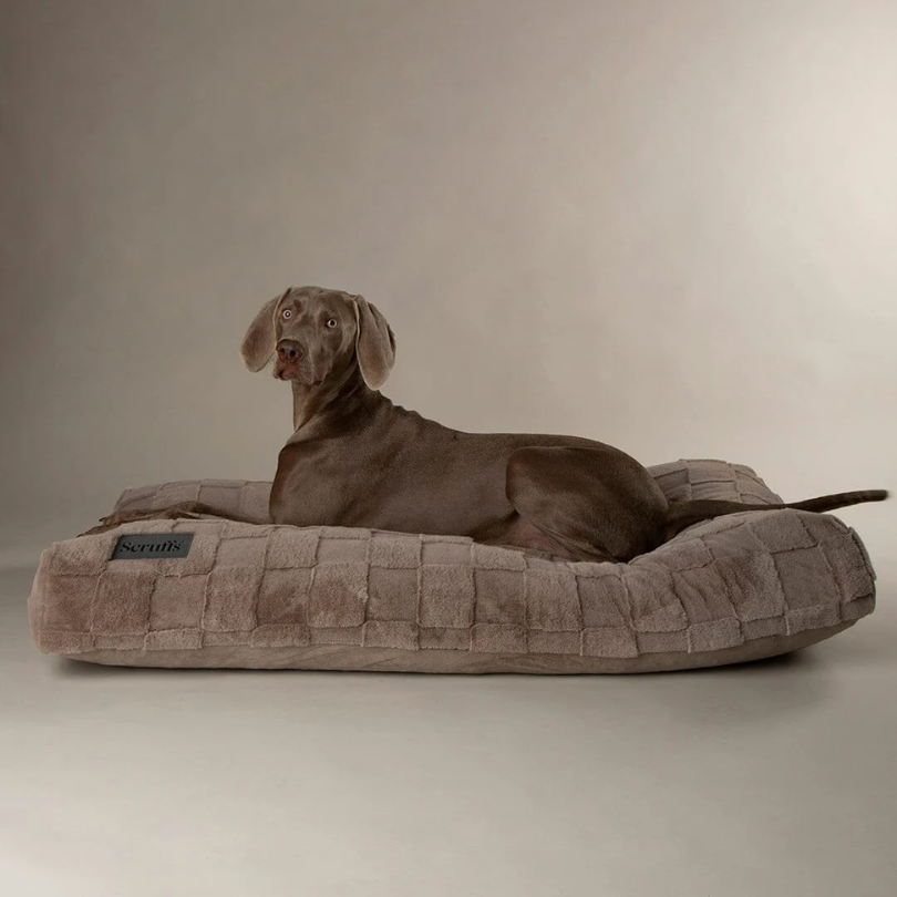 Scruffs Oxford Orthopaedic Mattress for Dogs