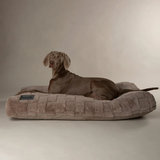 Scruffs Oxford Orthopaedic Mattress for Dogs