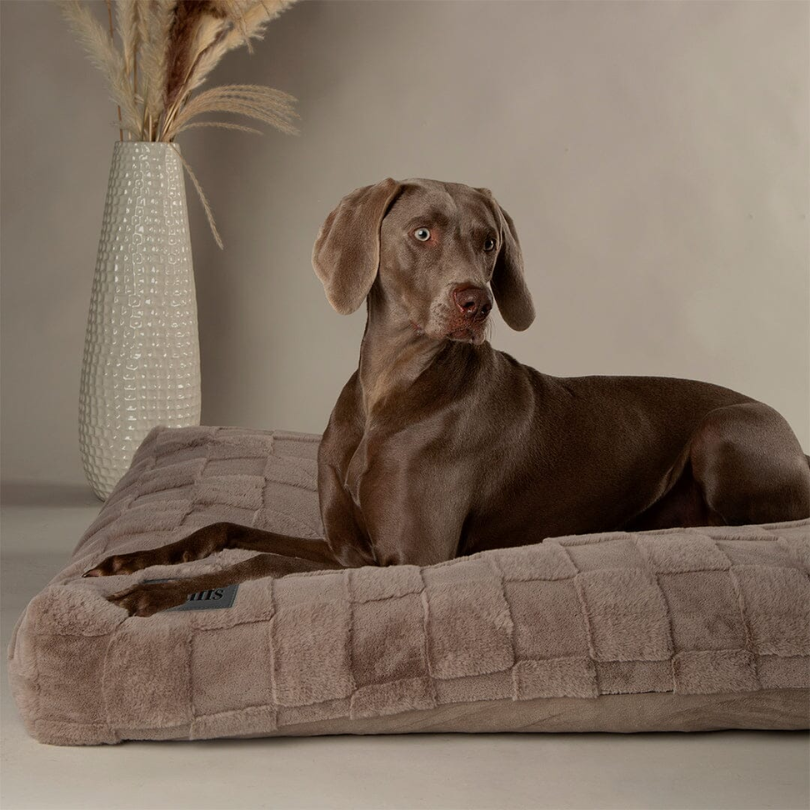 Scruffs Oxford Orthopaedic Mattress for Dogs