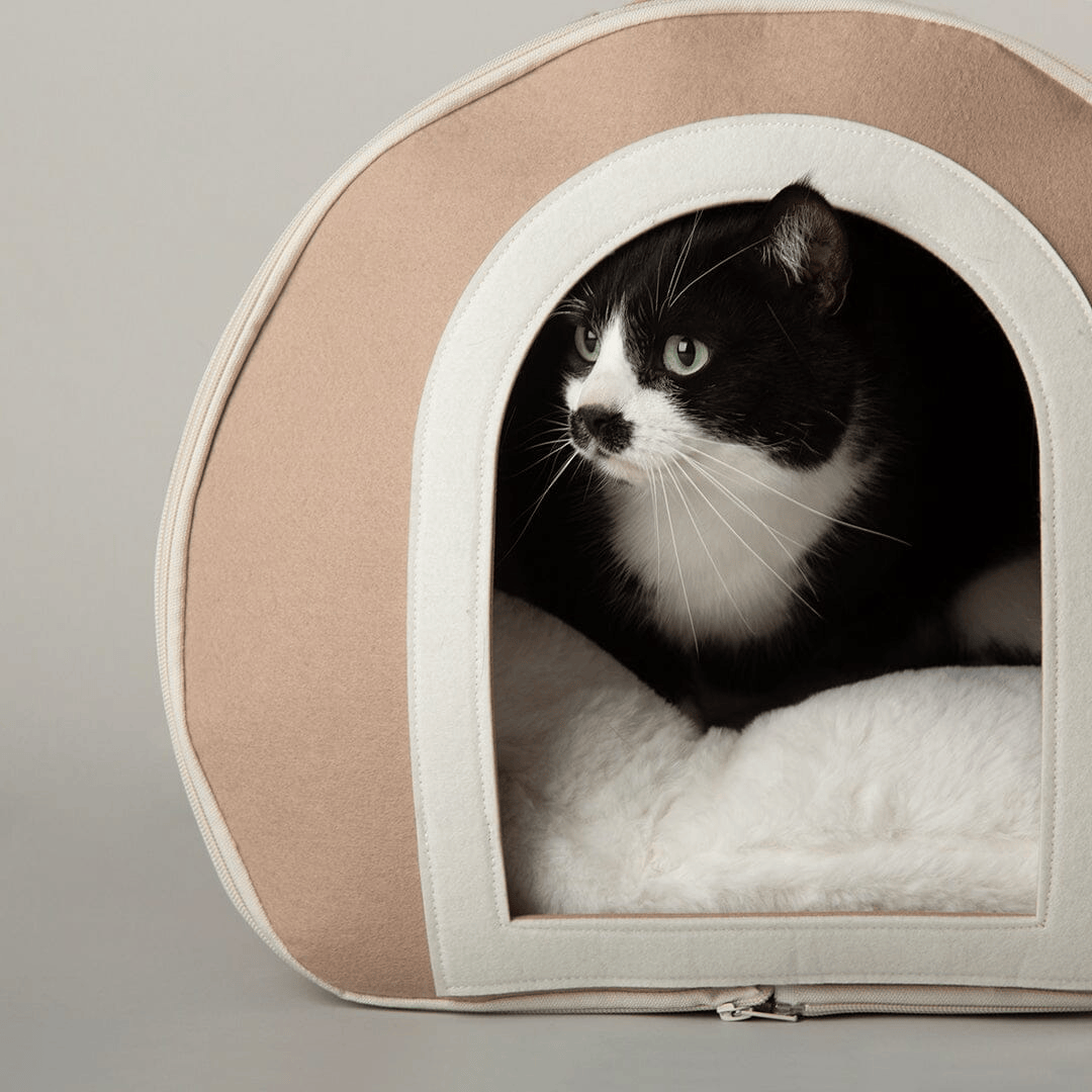 Cat peeking out from a beige Stockholm Cat Cave pet bed with a grey background