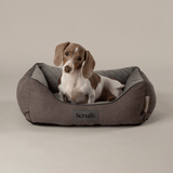 Dog lying in a grey thermal pet bed with 'Scruffs' branding on a beige background 