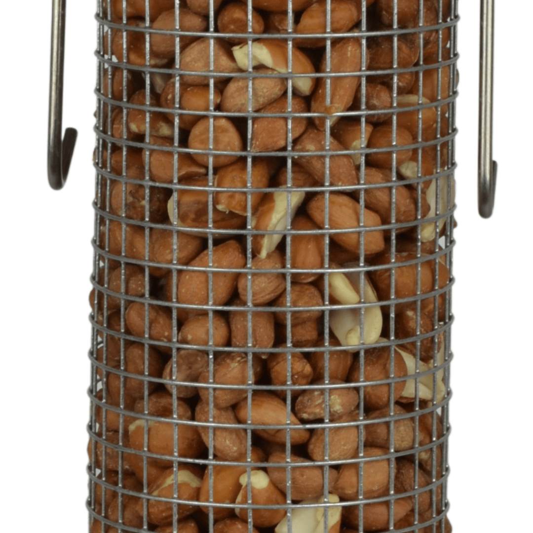 Metal wire bird feeder filled with Peanuts on a white background
