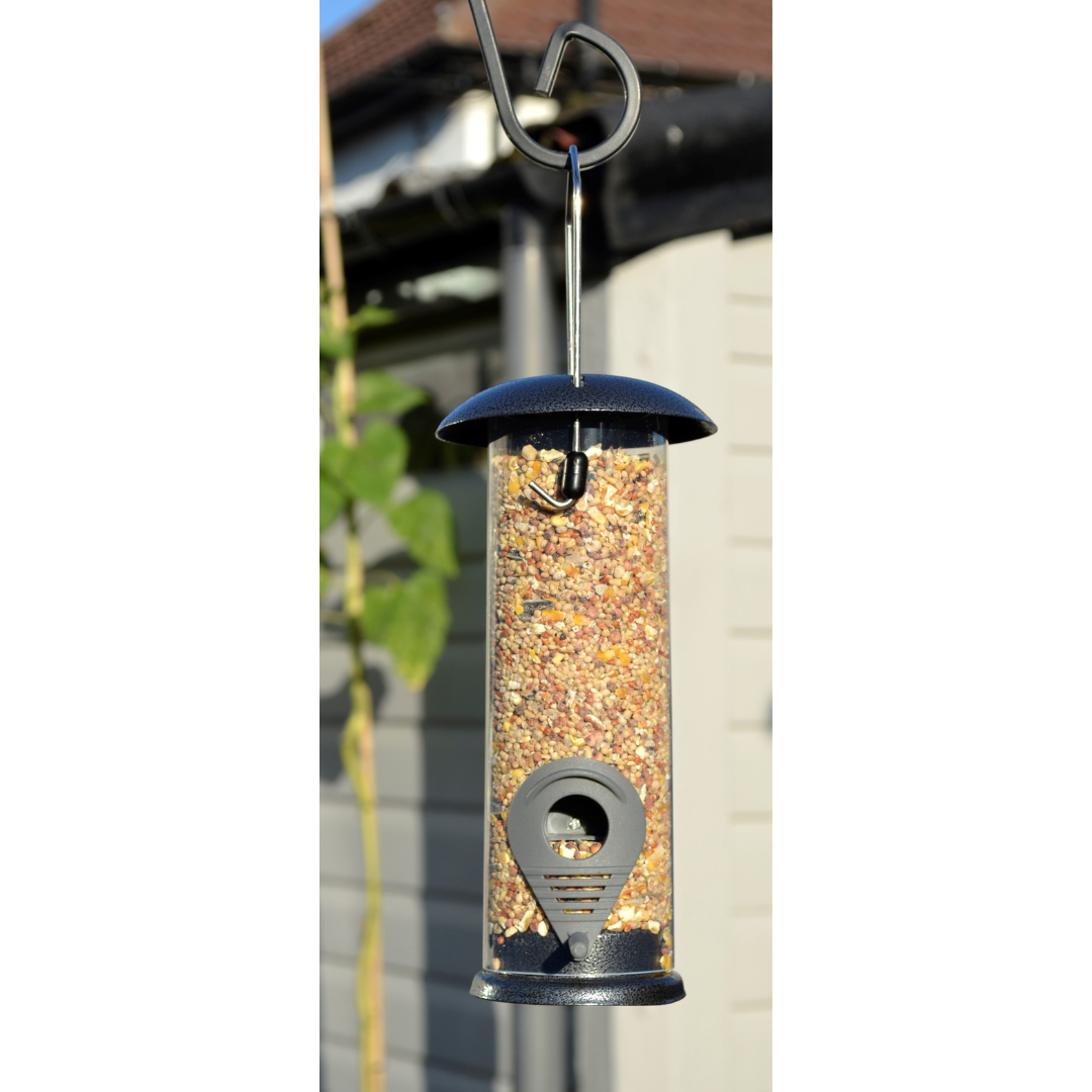 Bird feeder with seeds hanging outdoors