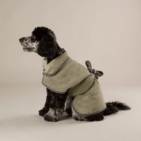 Dog wearing a green Scruffs Expedition Microfibre Dog Drying Coat with grey trim on a beige background
