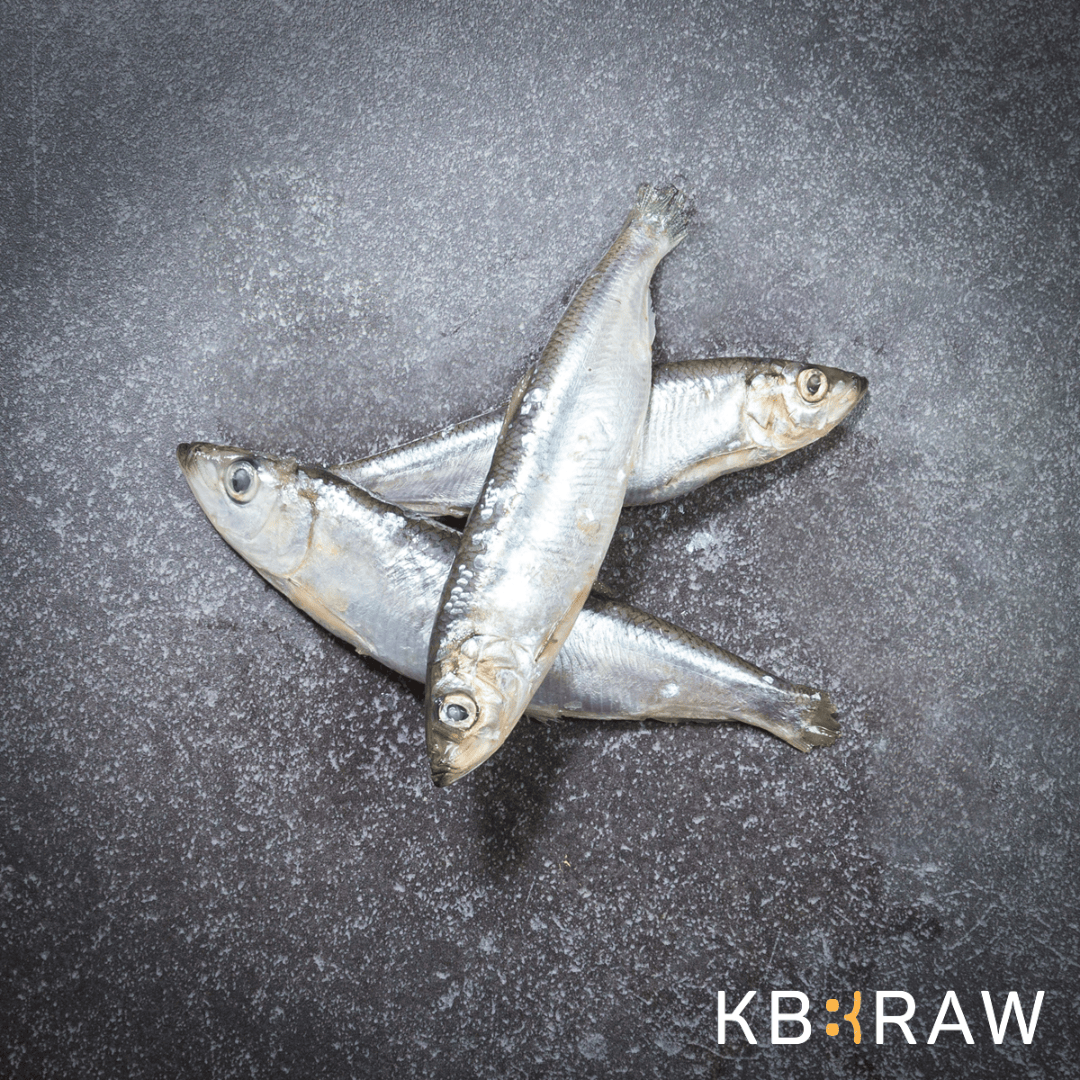 KB Raw Herring 1kg