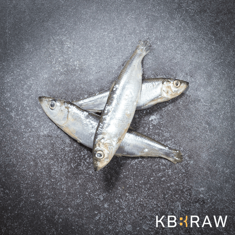 KB Raw Herring 1kg
