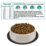 Bowl of dog food with feeding chart on a white background