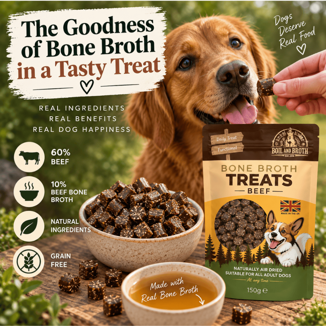 A promotional product image for Dog Boil and Broth Bone Broth Beef treats. A golden retriever is shown happily eating a treat from a human hand, with a bowl of the treats in the foreground