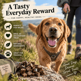 Golden retriever outdoors on a trail with a person holding a leash in the background, next to a pile of small bone broth treats. Large text reads 'A Tasty Everyday Reward For Happy, Healthy Dogs' with feature callouts including perfect for walks, ideal as an everyday treat, natural ingredients, and great for training.