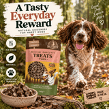 A promotional product image for Boil and Broth Bone Broth Treats in Pork, featuring a brown and white spaniel dog running in a forest background, a bowl of the treats, and the product pouch. Text overlays highlight 'A Tasty Everyday Reward' and 'Good Dogs Explore More'.