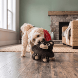 A small fluffy dog wearing a red bandana stands on a wooden floor in a cozy living room, playfully biting a plush Kong Snuzzles teddy bear toy.
