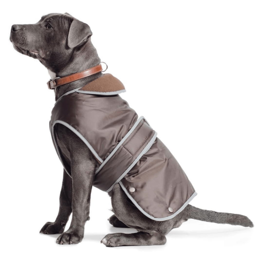 Ancol 2-in-1 Harness Dog Coat