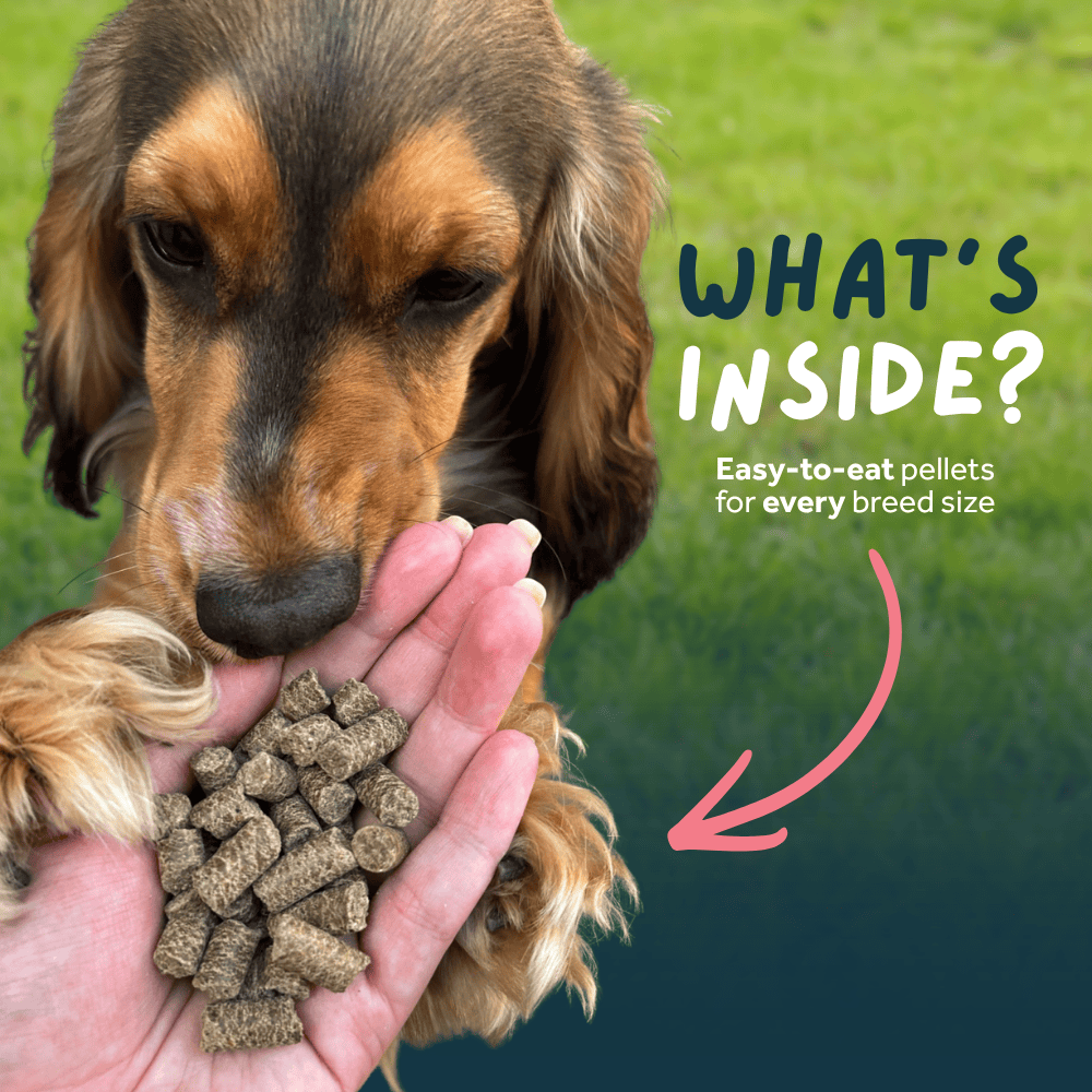 Wilsons Lamb Cold Pressed Dog Food 15kg