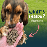 Wilsons Lamb Cold Pressed Dog Food 15kg