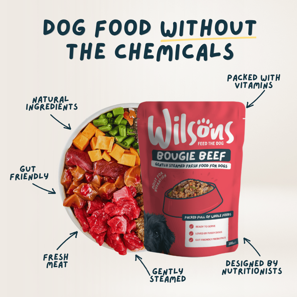Wilsons Bougie Beef Fresh Dog Food