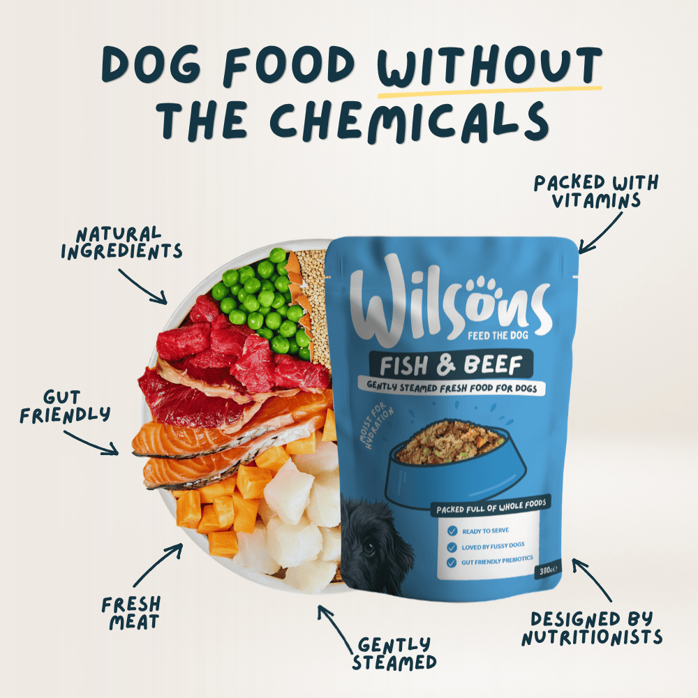 Wilsons Fish & Beef Fresh Dog Food