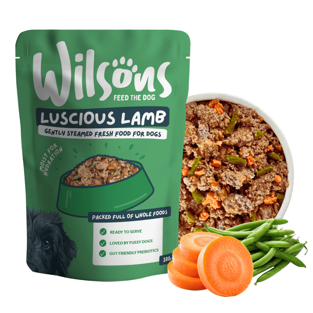 Wilson's Luscious Lamb dog food package with a bowl of dog food, carrots, and green beans on a white background