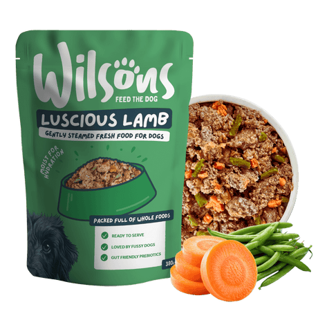 Wilson's Luscious Lamb dog food package with a bowl of dog food, carrots, and green beans on a white background
