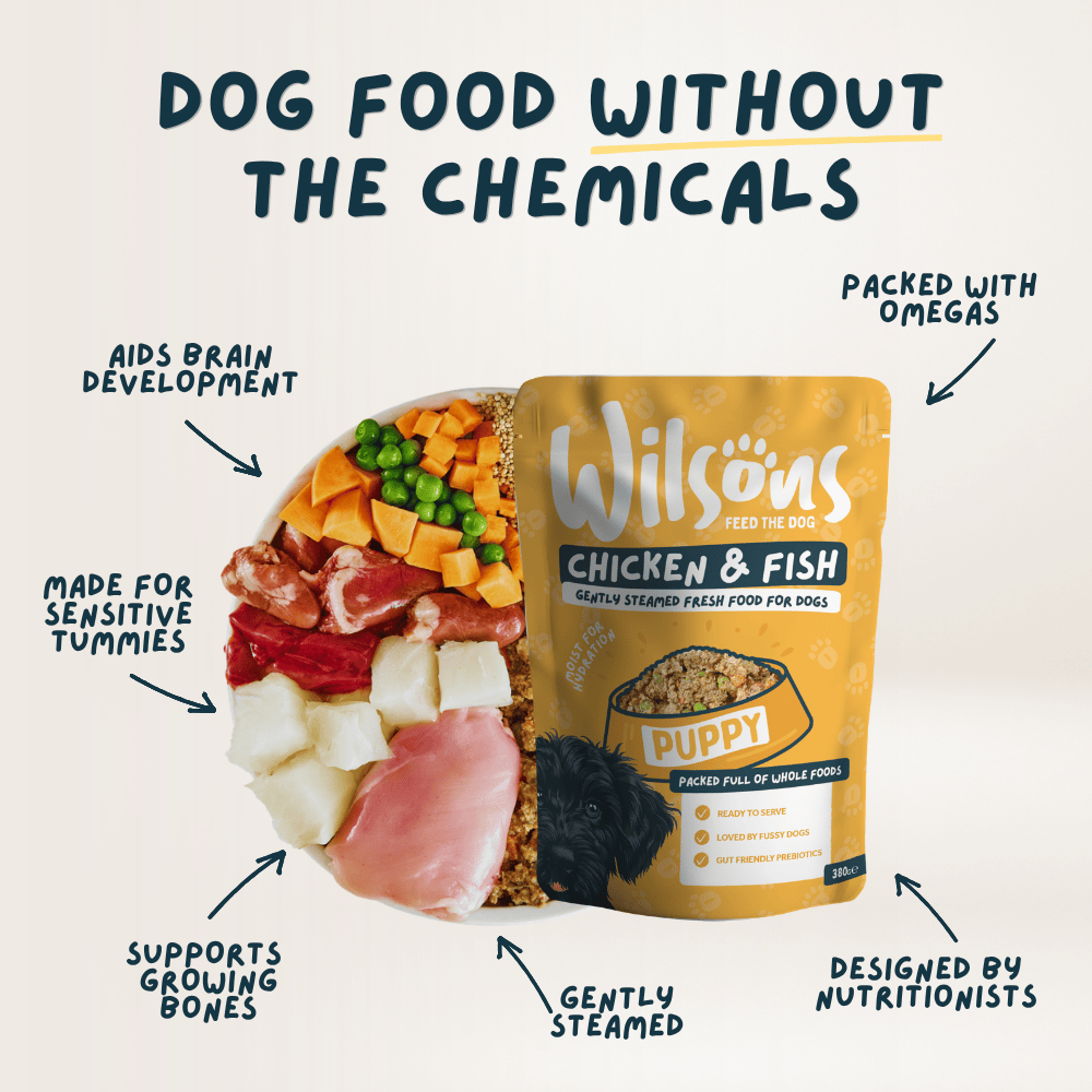 Wilsons Puppy Chicken & Fish Fresh Dog Food