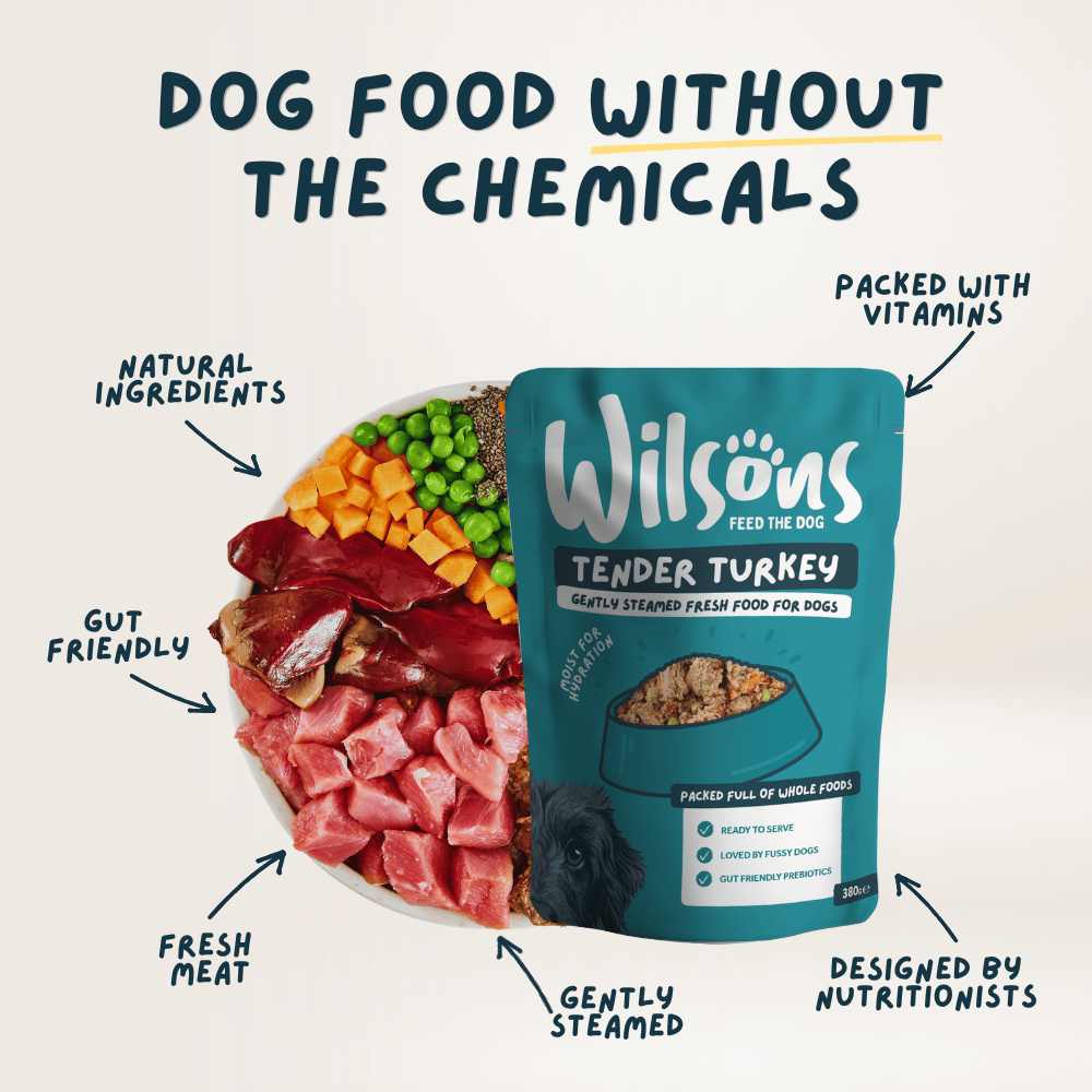 Wilsons Tender Turkey Fresh Dog Food