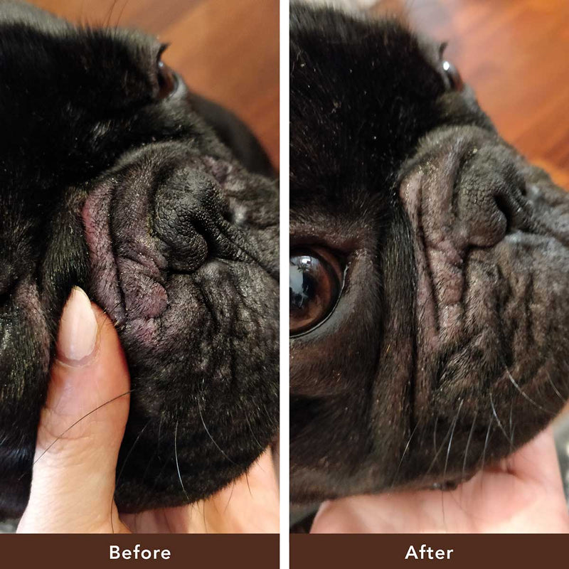 Before and after of a pug's face after using the Natural Dog Company Wrinkle Balm.