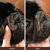 Before and after of a pug's face after using the Natural Dog Company Wrinkle Balm.