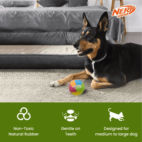A black and tan Doberman dog lies on a beige carpet in a living room, next to a colorful NERF Dog ball. The background shows a gray dog bed.