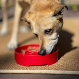 SodaPup Santa eBowl Slow Feeder