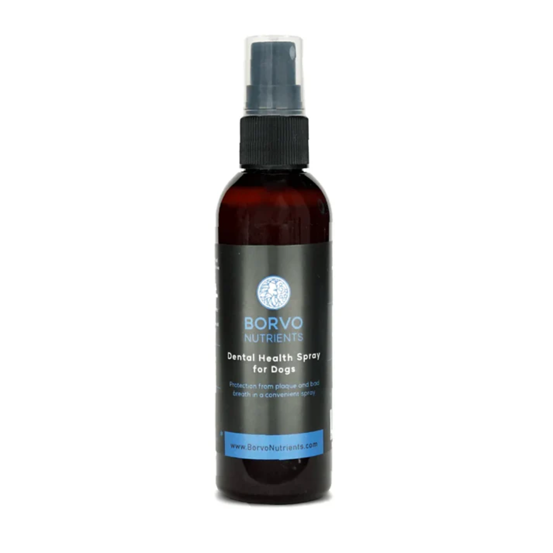 Borvo Nutrients Dental Health Spray 100ml against a white background.