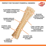 Nylabone Dura Chew Souper