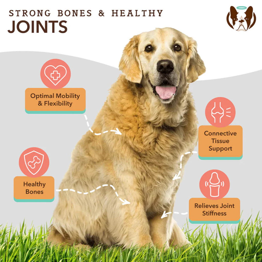 The key benefits of Natural Dog Company Liquid Glucosamine.