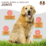 The key benefits of Natural Dog Company Liquid Glucosamine.