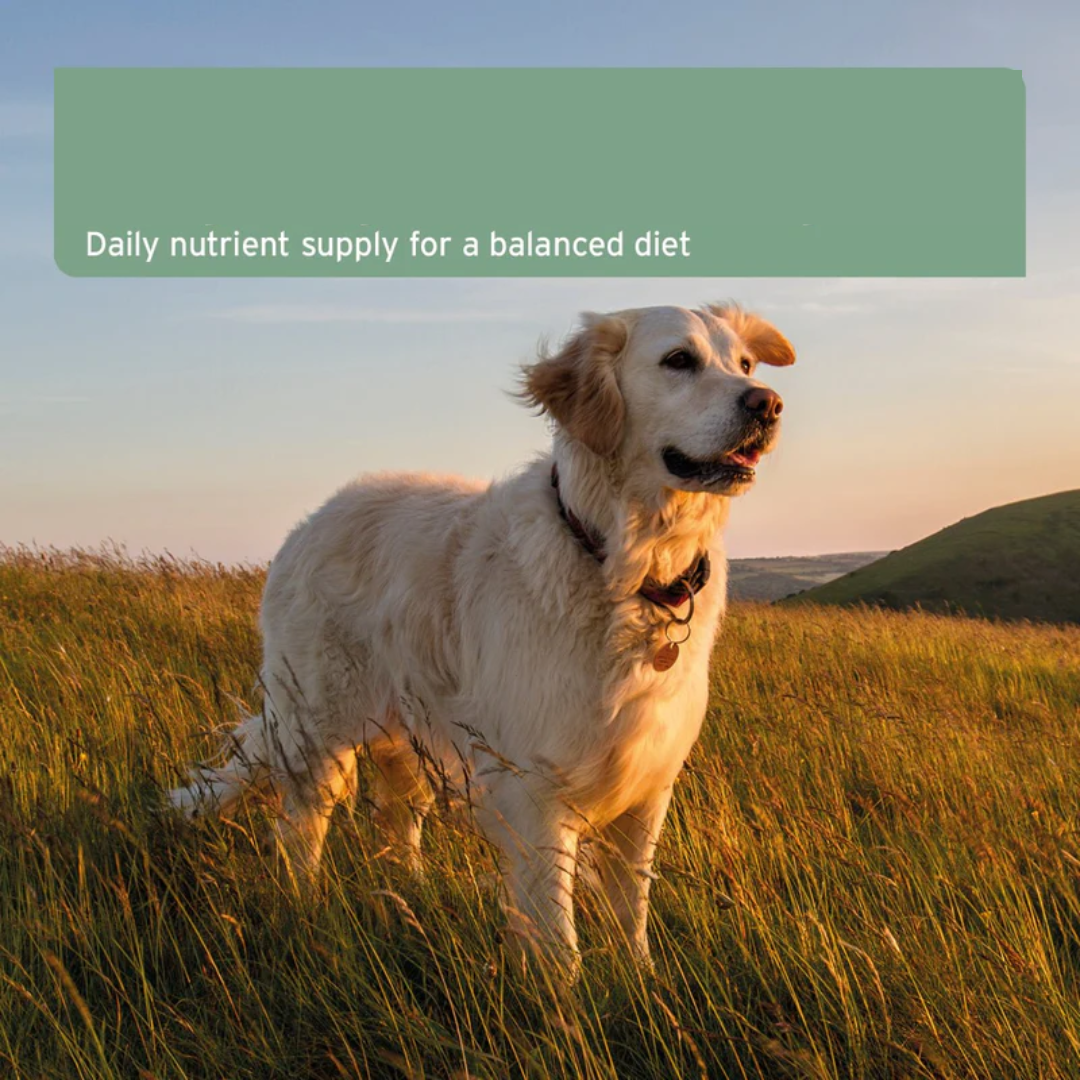 Infographic off the Aniforte website stating "Daily nutrient supply for a balanced diet"