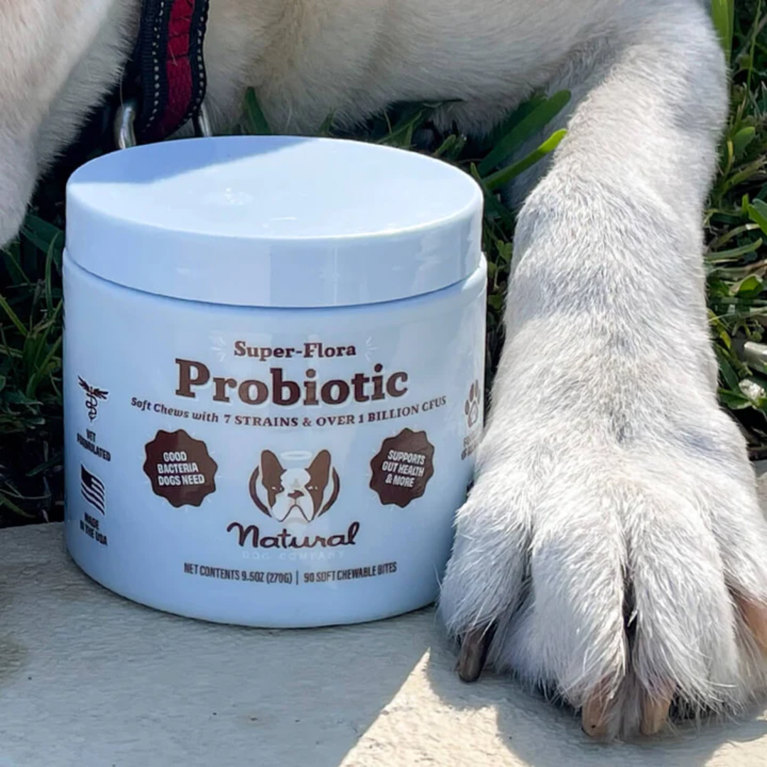 Super Flora Probiotic Chews beside a dog's paw.