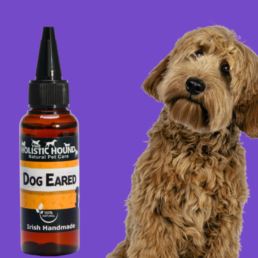 Holistic Hound Dog Eared - Natural Ear Cleaner Dogs