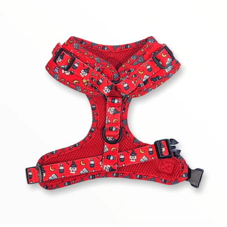 Zelda and Harley Red Hairy Pawter Harness