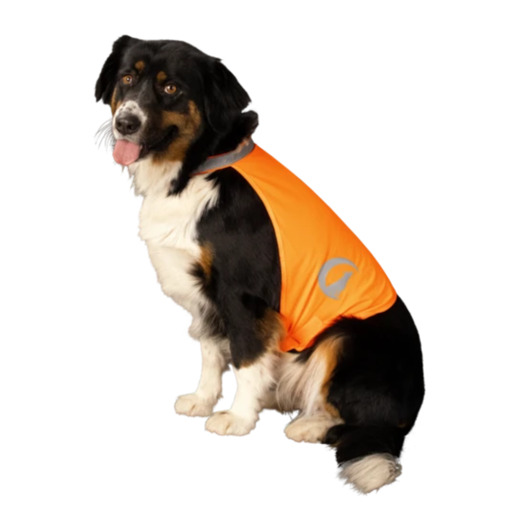 Dog hunting 2025 safety vest
