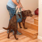 Kurgo Up and About Dog Lifter