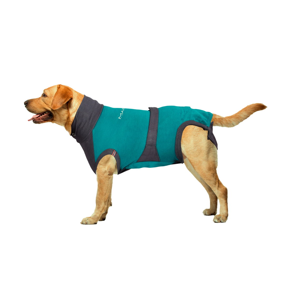 Breathable Recovery Suit For Dogs After Surgery Male And Female Abdominal  Wounds Or Skin Diseases E Collar Alternative Anti Licking Wounds  Comfortable And Protective | Today's Best Daily Deals | Temu
