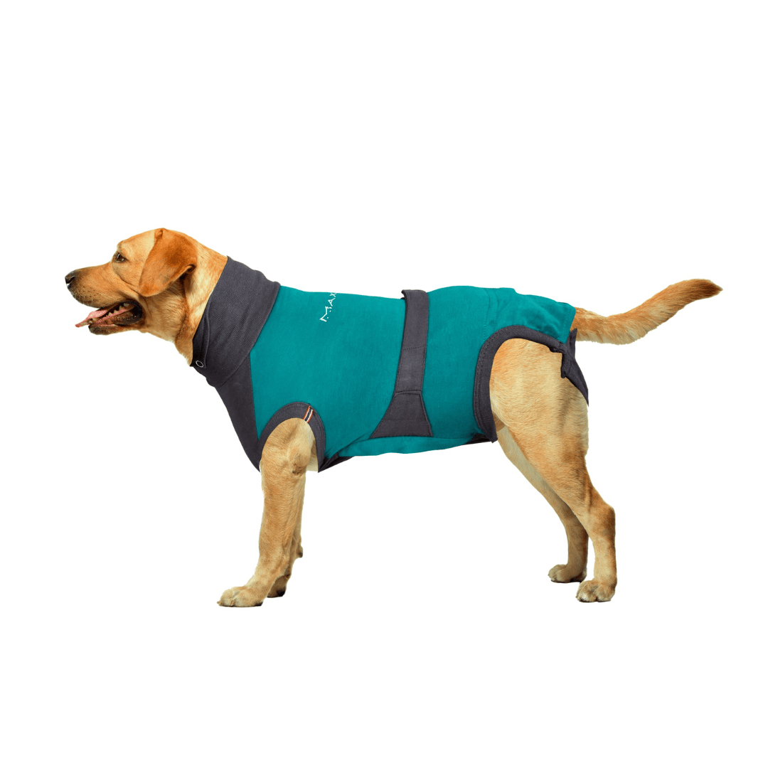 MAXX Surgical Recovery Suit for Dogs - Main Image