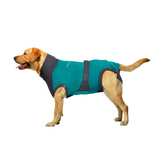 MAXX Surgical Recovery Suit for Dogs