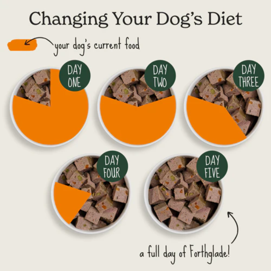 How to start feeding your dog the Forthglade Duck grain free wet dog food tray. A guide to weening from one food to another.