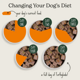 How to start feeding your dog the Forthglade Duck grain free wet dog food tray. A guide to weening from one food to another.