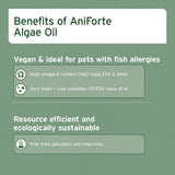 Promotional text about the benefits of AniForte Algae Oil on a green background