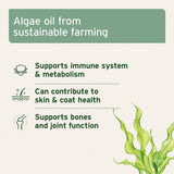 AniForte Algae Oil - Omega 3 Supplement